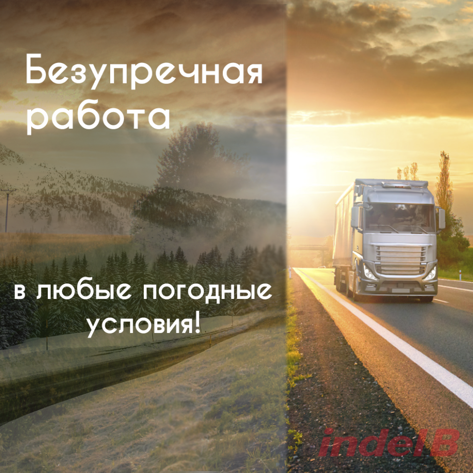 Indel B Sleeping Well Back Plus 24 V